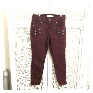 Maroon Stretch Jeans